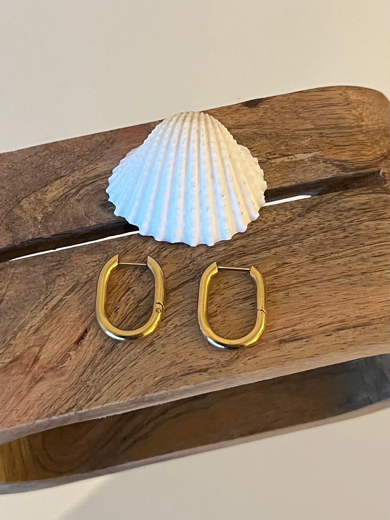 Anneaux d'oreilles