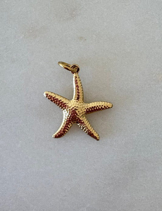 Charms étoile de mer